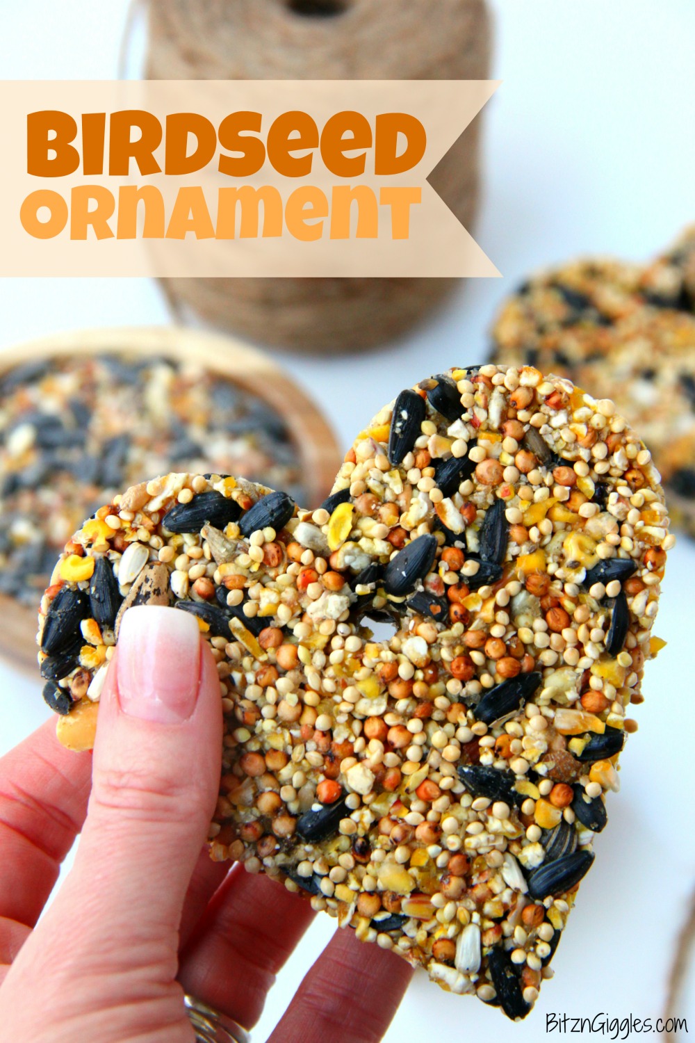 birdseed ornament