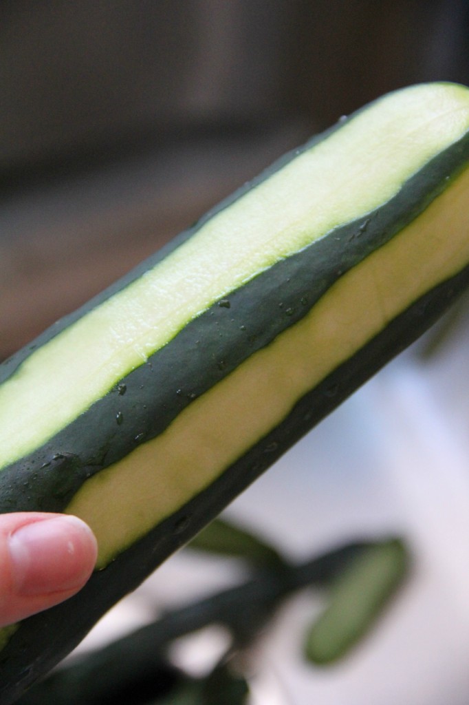Cucumberbites2