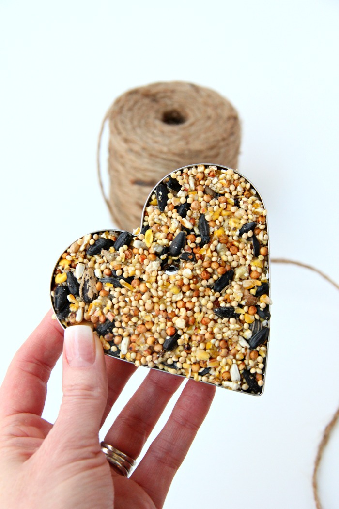 Hand holding birdseed ornament in cookie cutter 