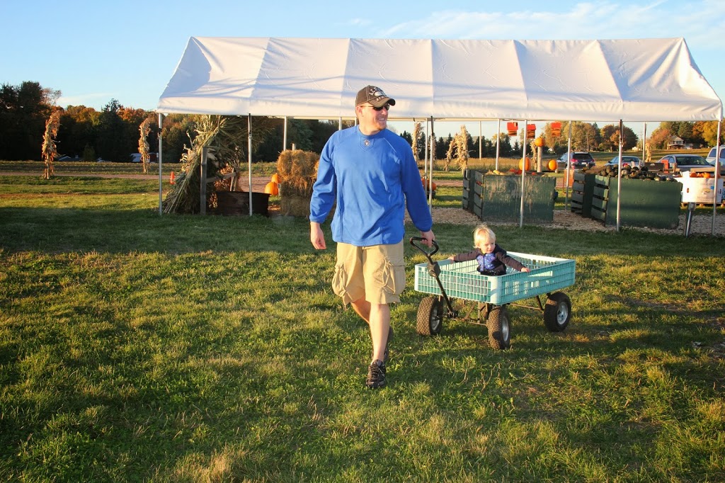 Pumpkin Patch