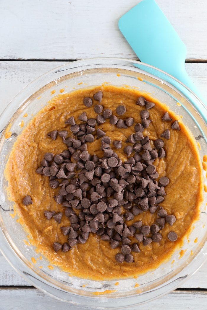 Pumpkin Chocolate Chip Muffins - Homemade pumpkin muffins sprinkled with fall spices and lots of chocolate chips! 