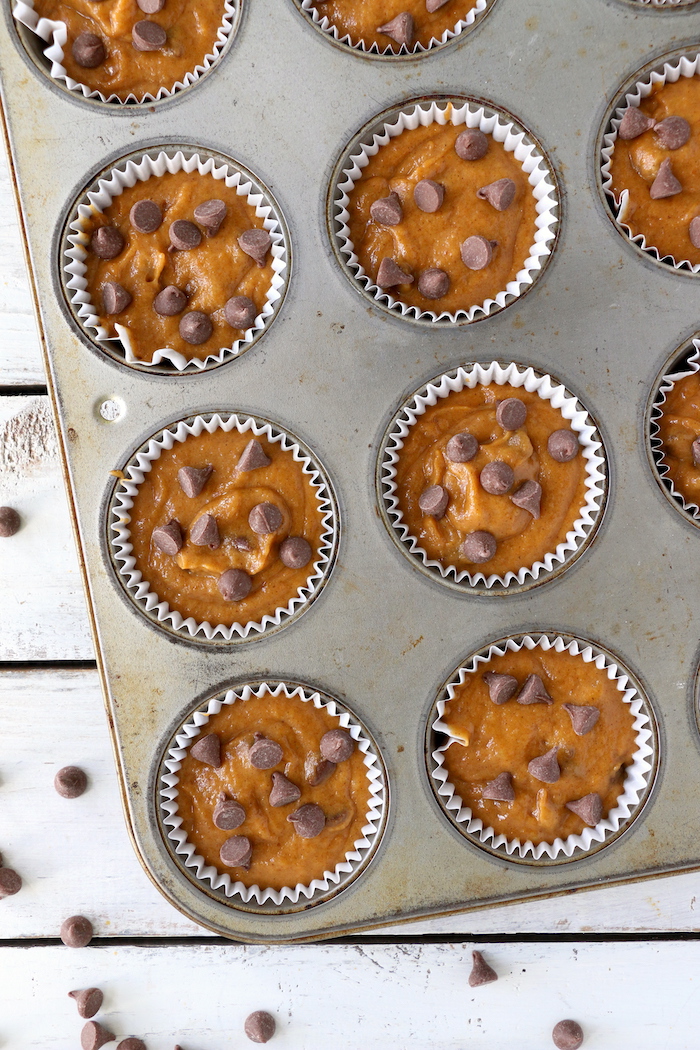 Pumpkin Chocolate Chip Muffins - Homemade pumpkin muffins sprinkled with fall spices and lots of chocolate chips! 