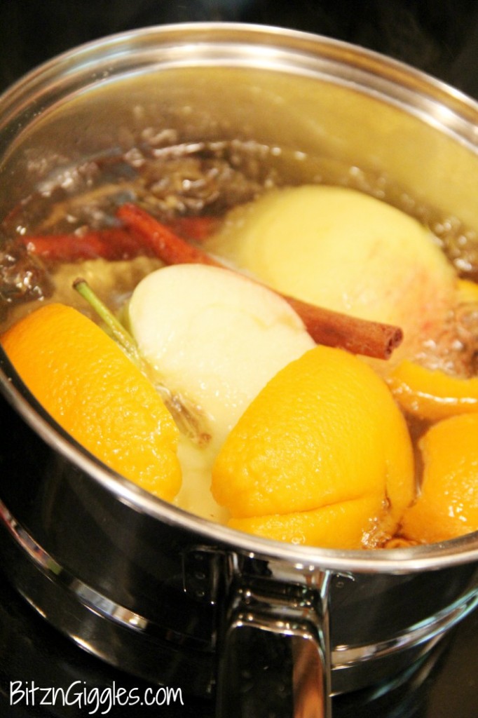 Fall Simmering Pot - Bitz & Giggles