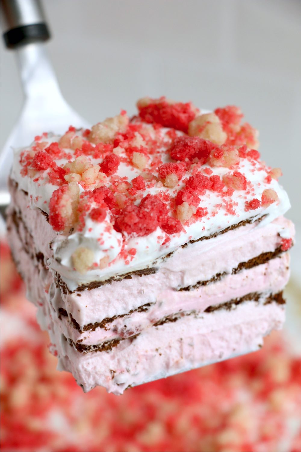 spatula holding up a piece of ice cream cake