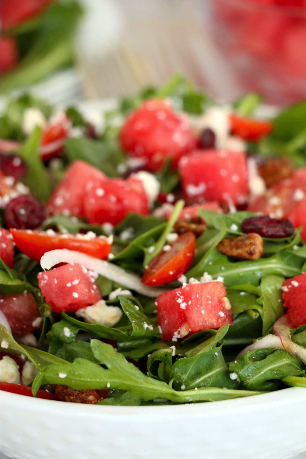 close up shot of watermelon feta salad